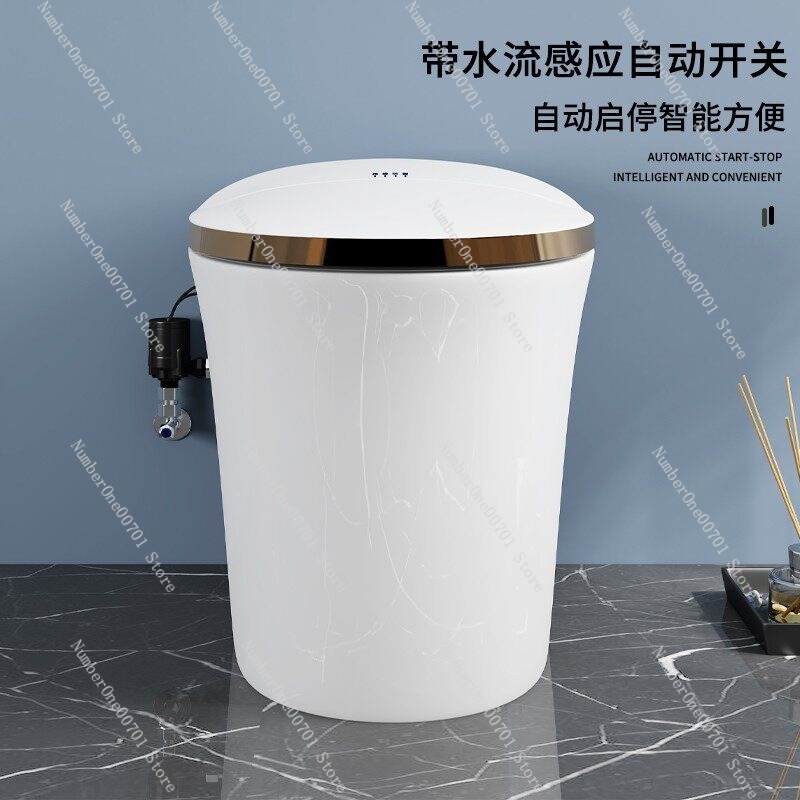 Pompa Booster Toilet Pintar Ot - Home Bathroom Pressure Pump ulasan dan harga