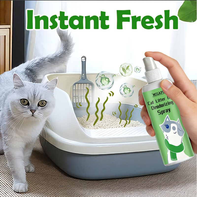 Semprotan Penghilang Bau Kotor - Home Bathroom With Urinal ulasan dan harga